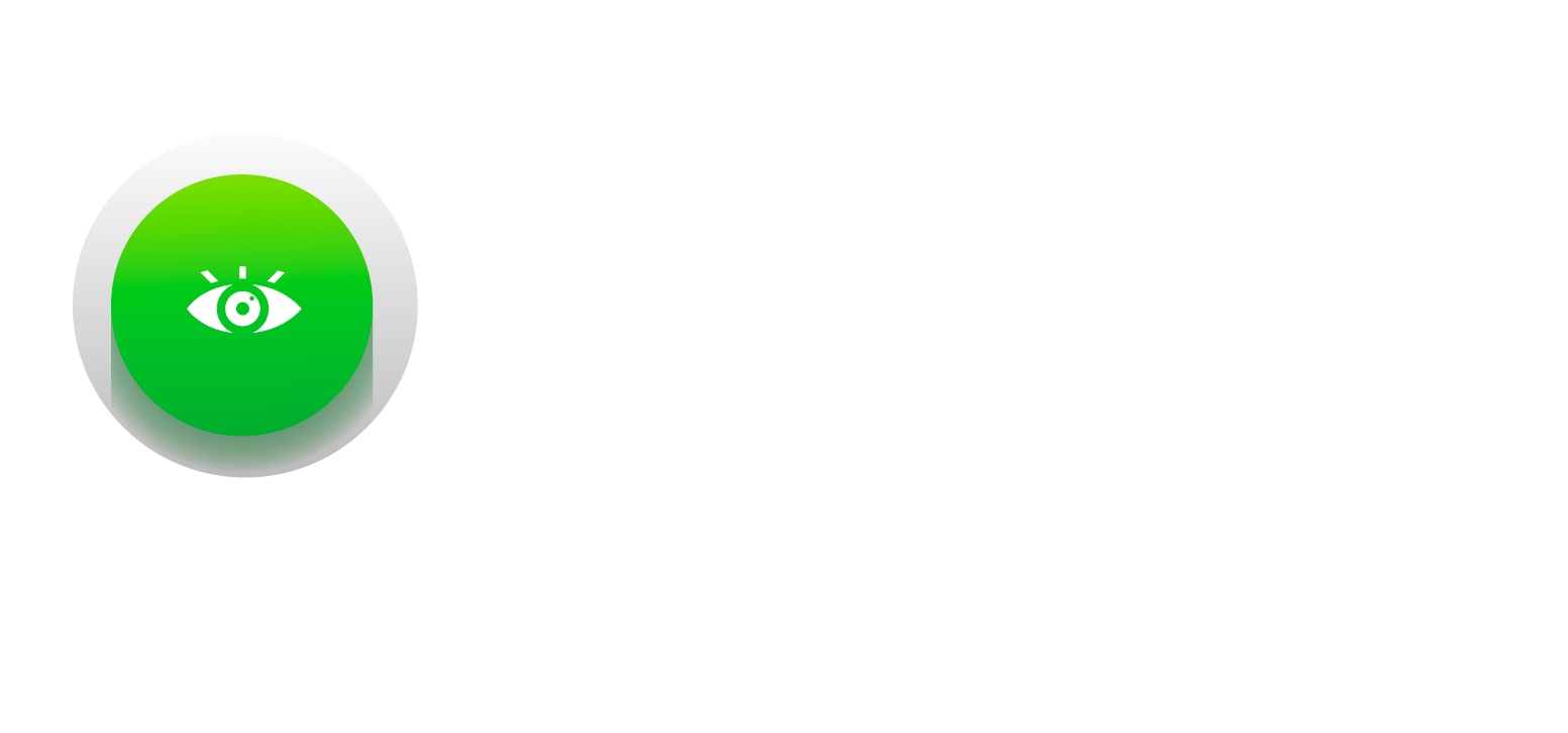 vision-vision-para-web